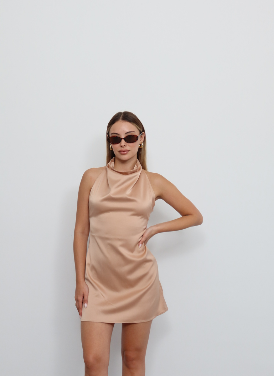 PUDRA DEGAJE YAKA ELBİSE